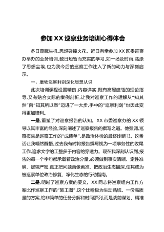 参加XX巡察业务培训心得体会