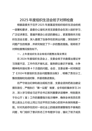 2025年度组织生活会班子对照检查