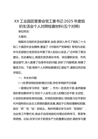 XX工业园区管委会党工委书记2025年度组织生活会个人对照检查材料(五个对照)