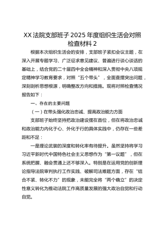 XX法院支部班子2025年度组织生活会对照检查材料2
