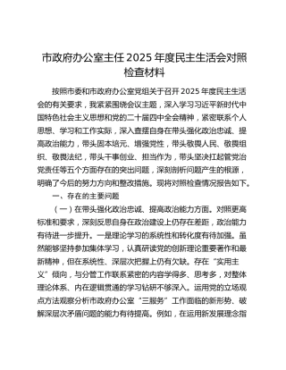 市政府办公室主任2025年度民主生活会对照检查材料（五个带头）