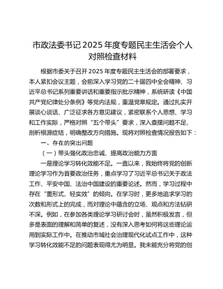 市政法委书记2025年度专题民主生活会个人对照检查材料（五个带头）