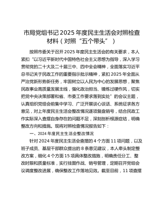 市局党组书记2025年度民主生活会对照检查材料（对照“五个带头”）