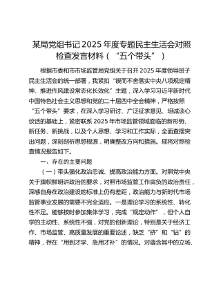 某局党组书记2025年度专题民主生活会对照检查发言材料（“五个带头”）