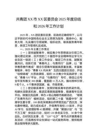 共青团XX市XX区委员会2025年度总结和2026年工作计划