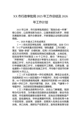 XX市行政审批局2025年工作总结及2026年工作计划