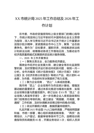 XX市统计局2025年工作总结及2026年工作计划