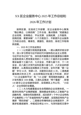 XX区企业服务中心2025年工作总结和2026年工作计划