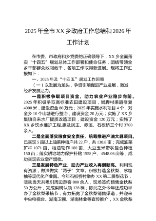 2025年全市XX乡政府工作总结和2026年工作计划