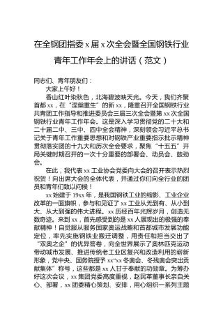 在全钢团指委x届x次全会暨全国钢铁行业青年工作年会上的讲话