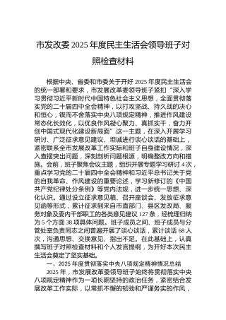 市发改委2025年度民主生活会领导班子对照检查材料