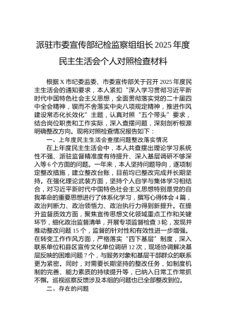 派驻市委宣传部纪检监察组组长2025年度民主生活会个人对照检查材料