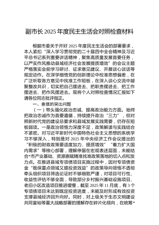 副市长2025年度民主生活会对照检查材料