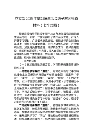 党支部2025年度组织生活会班子对照检查材料（七个对照）
