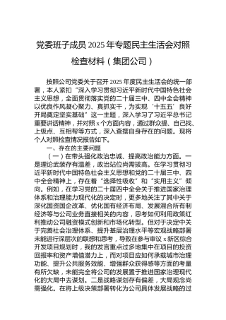 党委班子成员2025年专题民主生活会对照检查材料（集团公司）