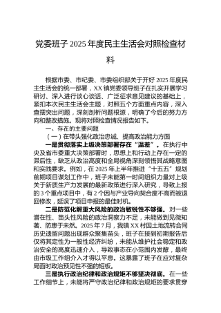 党委班子2025年度民主生活会对照检查材料