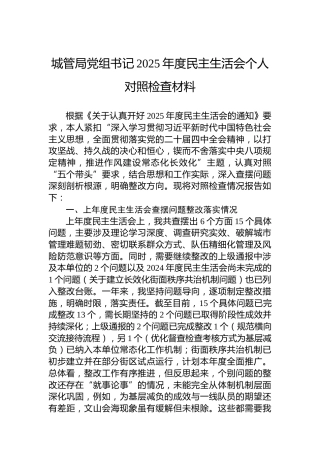 城管局党组书记2025年度民主生活会个人对照检查材料