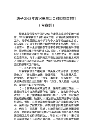 班子2025年度民主生活会对照检查材料（带案例）
