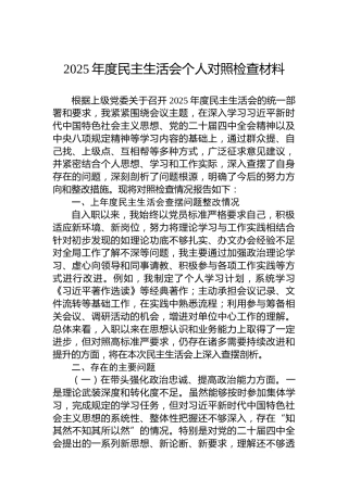 2025年度民主生活会个人对照检查材料