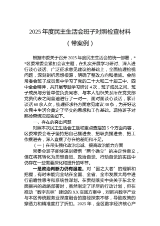 2025年度民主生活会班子对照检查材料（带案例）
