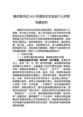 镇纪委书记2025年度民主生活会个人对照检查材料