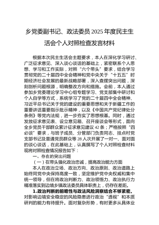 乡党委副书记、政法委员2025年度民主生活会个人对照检查发言材料