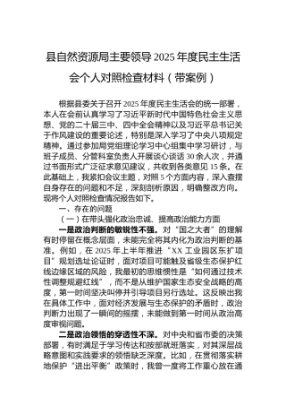 县自然资源局主要领导2025年度民主生活会个人对照检查材料（带案例）