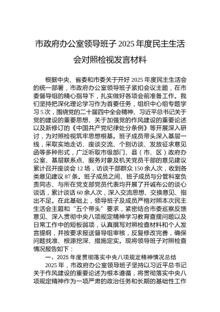 市政府办公室领导班子2025年度民主生活会对照检视发言材料