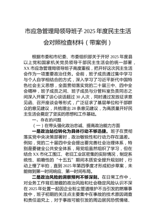市应急管理局领导班子2025年度民主生活会对照检查材料（带案例）
