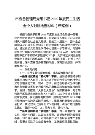 市应急管理局党组书记2025年度民主生活会个人对照检查材料（带案例）