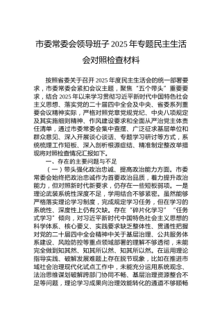 市委常委会领导班子2025年专题民主生活会对照检查材料