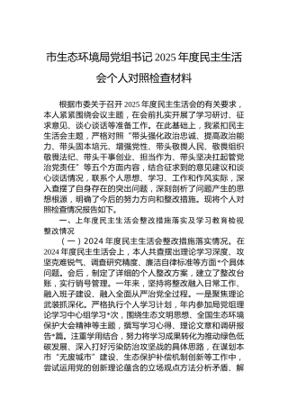 市生态环境局党组书记2025年度民主生活会个人对照检查材料