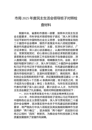 市局2025年度民主生活会领导班子对照检查材料