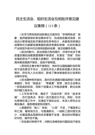 民主生活会、组织生活会互相批评意见建议集锦（113条）