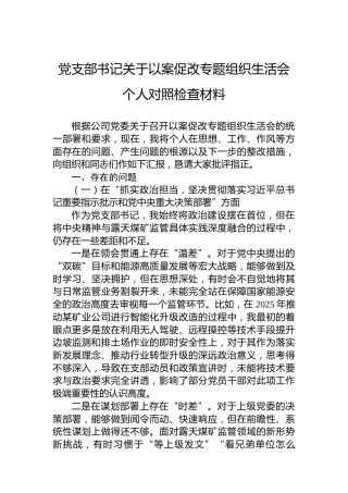 党支部书记关于以案促改专题组织生活会个人对照检查材料