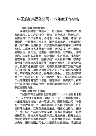 船舶集团各公司2025年度工作总结