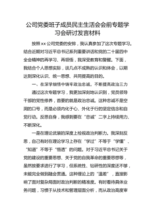 国企民主生活会会前专题学习会研讨发言材料