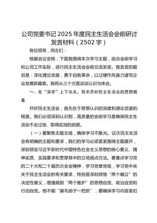 国企党委书记2025年度民主生活会会前研讨发言材料（2502字）