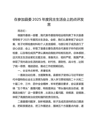 在参加县委2025年度民主生活会上的点评发言