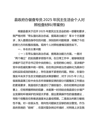 县政府办督查专员2025年民主生活会个人对照检查材料(带案例)