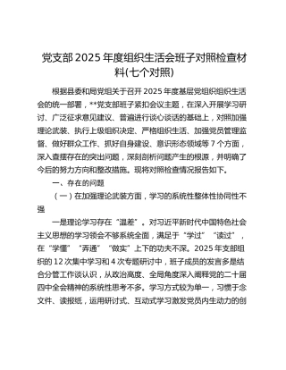 党支部2025年度组织生活会班子对照检查材料(七个对照)