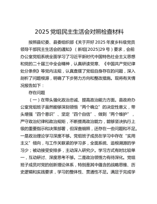 2025党组民主生活会对照检查材料