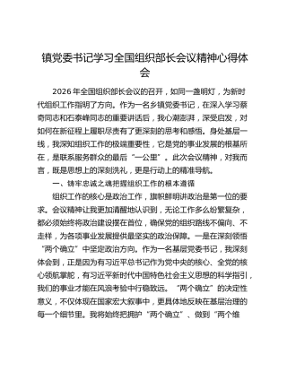 镇党委书记学习全国组织部长会议精神心得体会