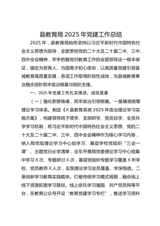 县教育局2025年党建工作总结-