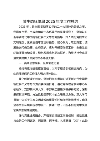 某生态环境局2025年度工作总结