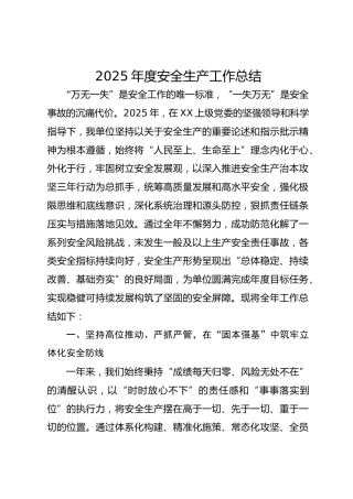 2025年度安全生产工作总结(1)