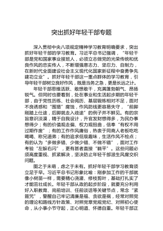 突出抓好年轻干部专题