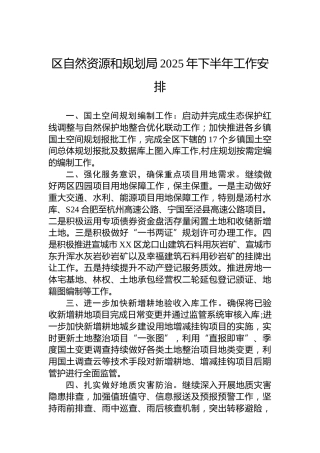 区自然资源和规划局2025年下半年工作安排