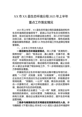 XX市XX县生态环境分局2025年上半年重点工作落实情况