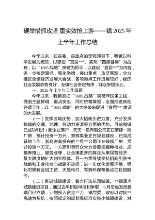 硬举措抓攻坚重实效抢上游——镇2025年上半年工作总结